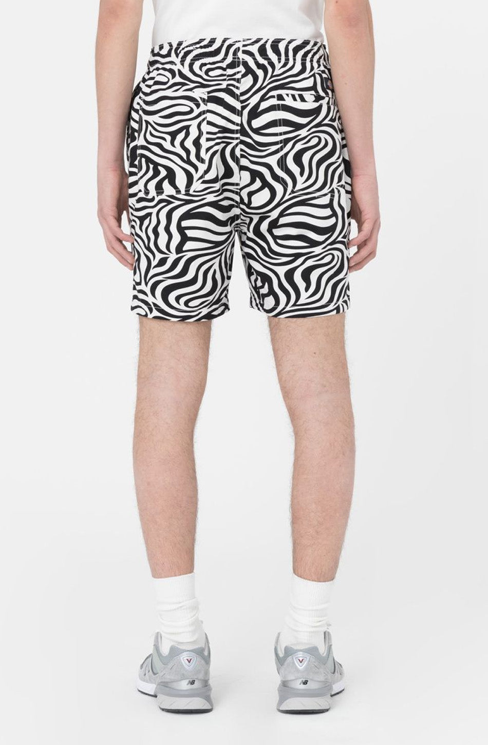 Bermudas Dickies Cloud Zebra