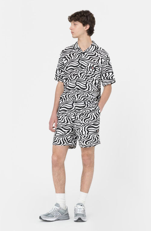 Bermudas Dickies Cloud Zebra