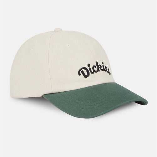 Gorra Dickies Keysville Cloud