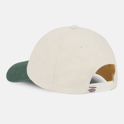 Gorra Dickies Keysville Cloud