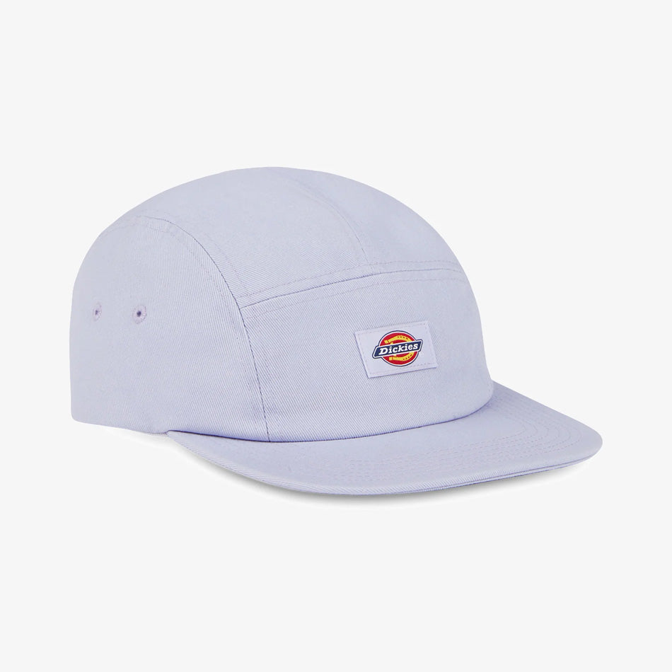 Gorra Dickies Albertville Cosmic Sky